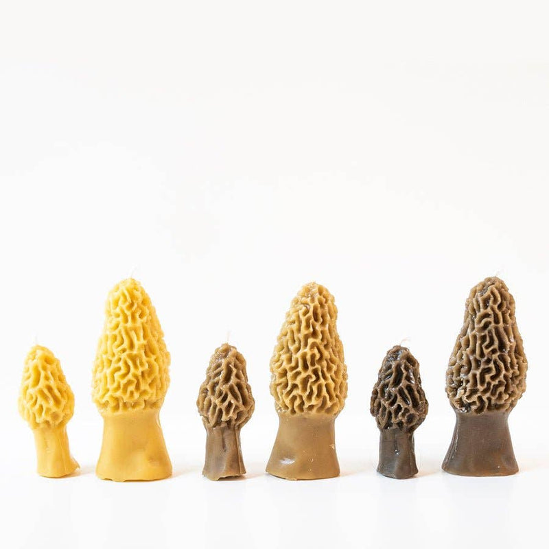Beeswax Morel Mushroom Candle 2 - pack - Lazy Sun