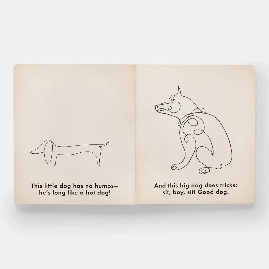 Birds & Other Animals