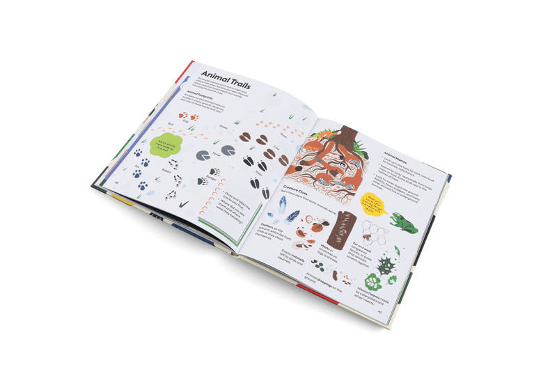 Let’s Play Outdoors! - Lazy Sun