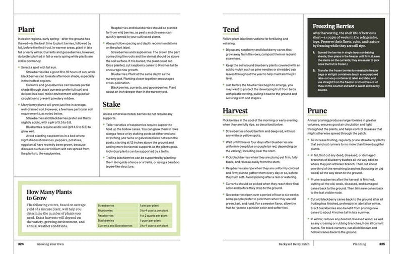 Martha Stewart's Gardening Handbook: Martha Stewart - Lazy Sun