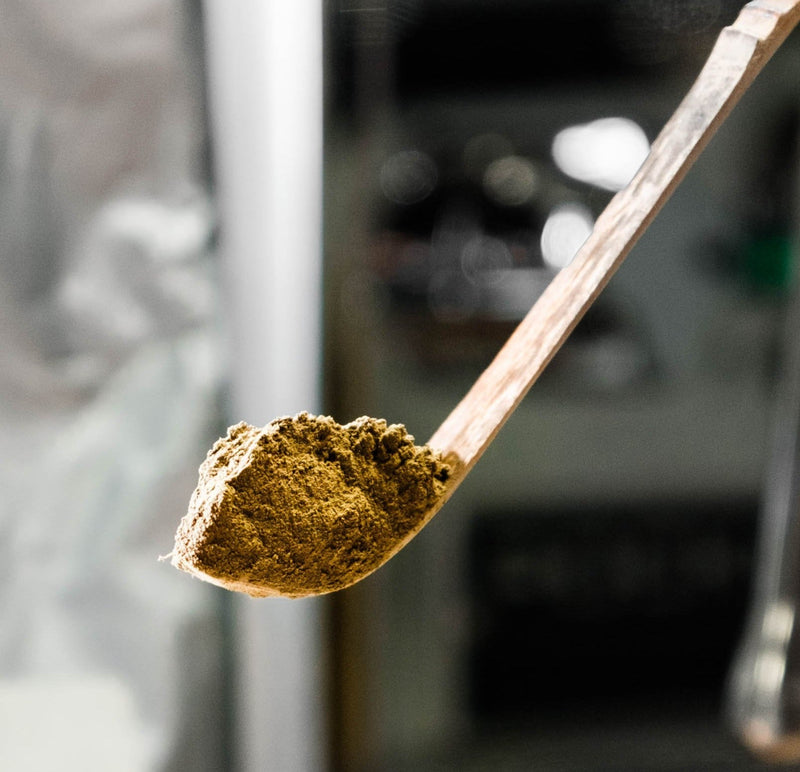 Organic Hojicha Powder - Lazy Sun