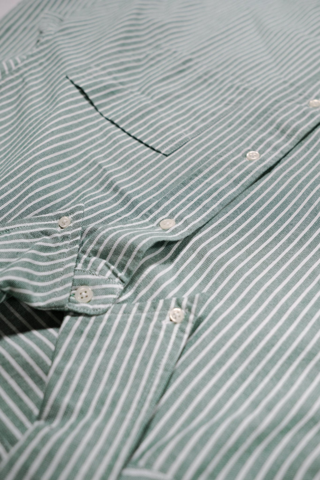Oxford Cloth Button Down - Evergreen Stripe