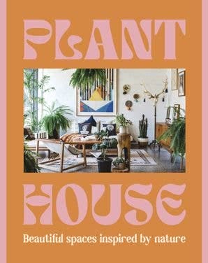 Plant House: Harper by Design - Lazy Sun