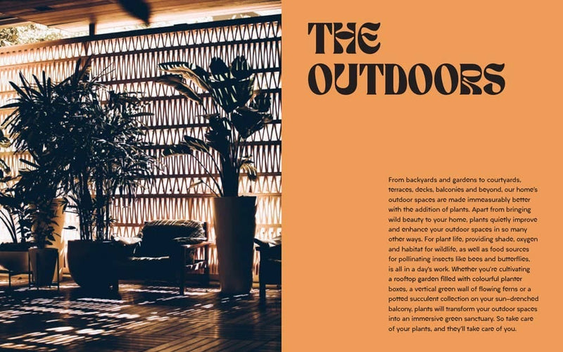 Plant House: Harper by Design - Lazy Sun