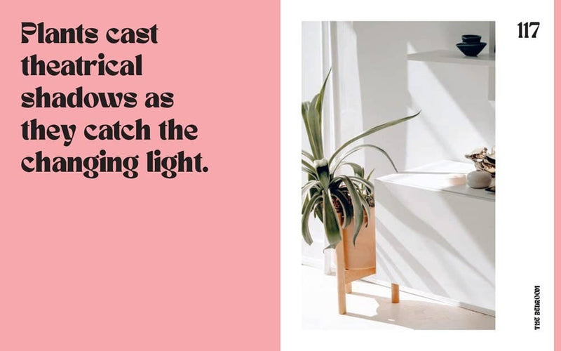 Plant House: Harper by Design - Lazy Sun