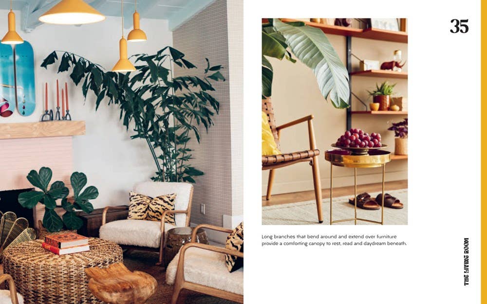 house plant furniture Plant House by Harper by Design