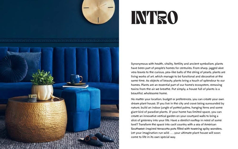 Plant House: Harper by Design - Lazy Sun