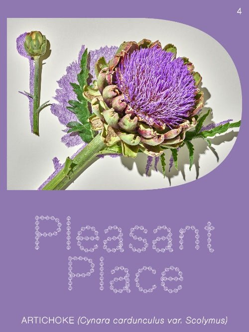 Pleasant Place 4: Artichoke - Lazy Sun