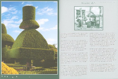 Pleasant Place 6: Topiary - Lazy Sun