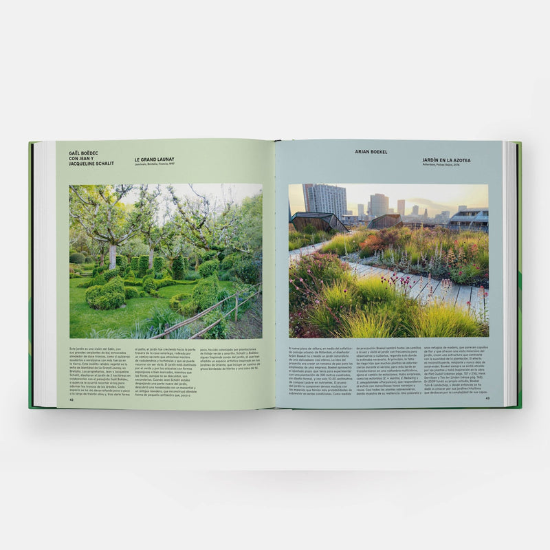 The Contemporary Garden - Lazy Sun