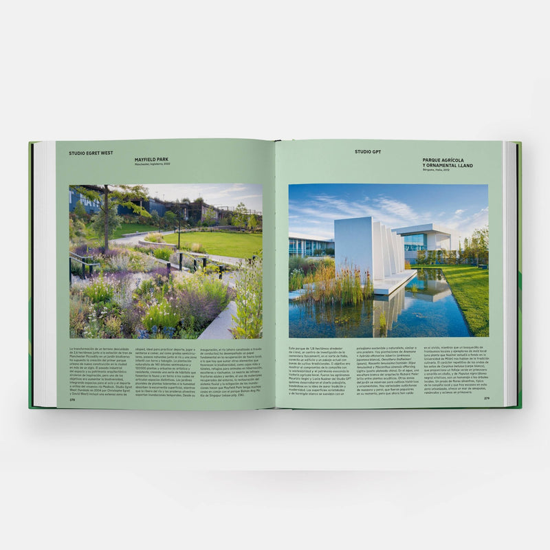 The Contemporary Garden - Lazy Sun