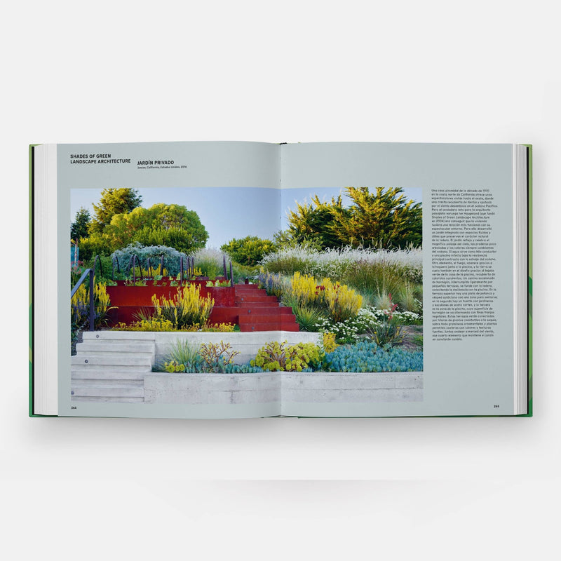 The Contemporary Garden - Lazy Sun