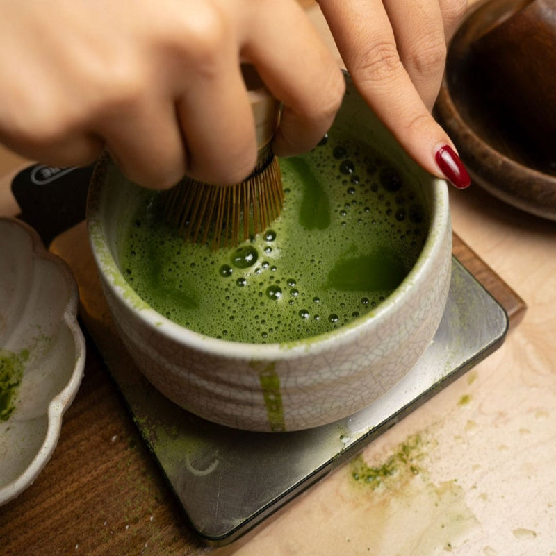 Yabukita Single Cultivar Matcha Powder - Lazy Sun