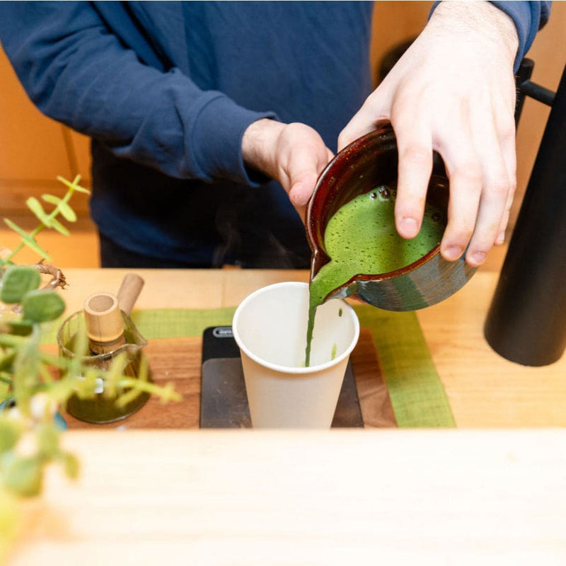 Yabukita Single Cultivar Matcha Powder - Lazy Sun